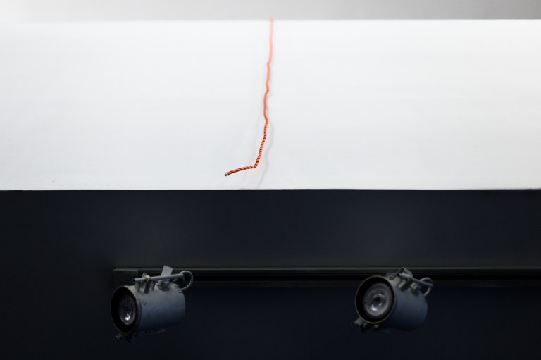 En La Naturaleza_10.jpg